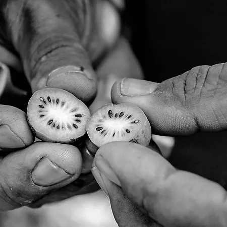 De L'arguta Bauernhof