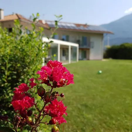 De L'arguta * Trento