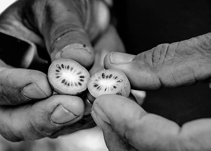 De L'arguta Bauernhof