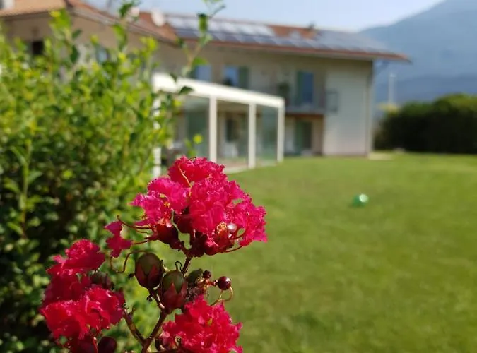 De L'arguta * Trient